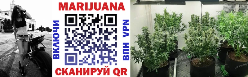 Купить  Ясногорск  Конопля OG Kush 